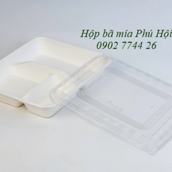 Hộp bã mía 3 ngăn nắp PET tại Quận 12 TP HCM